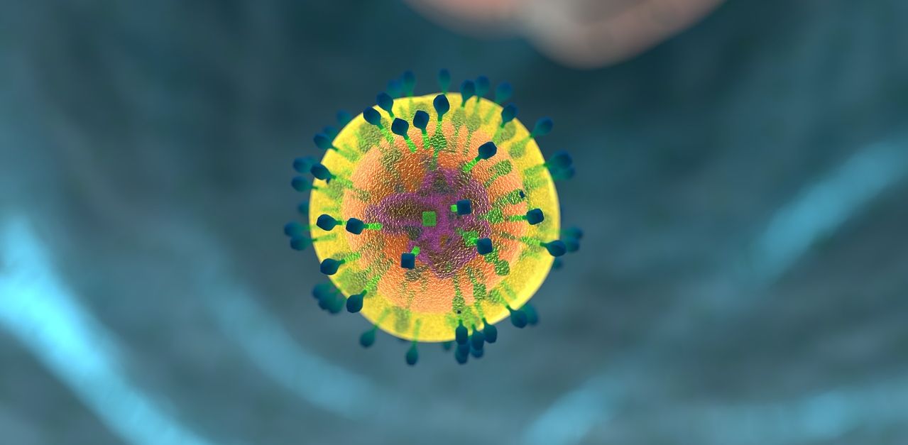Immune System Helper Cell
