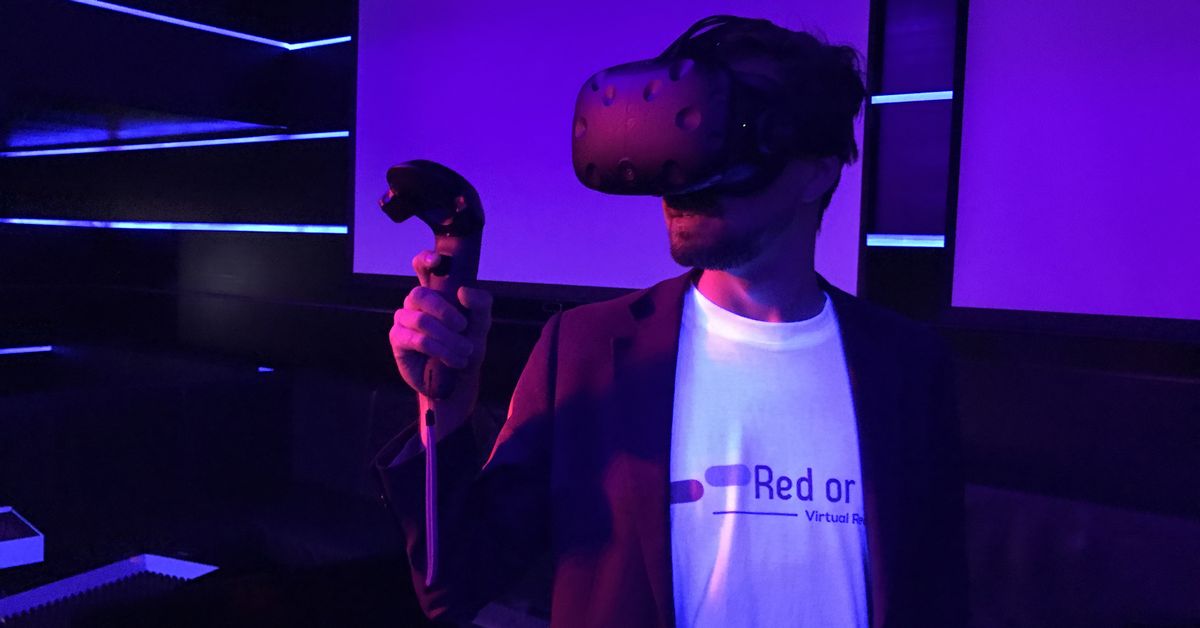 Virtual Reality Gamer