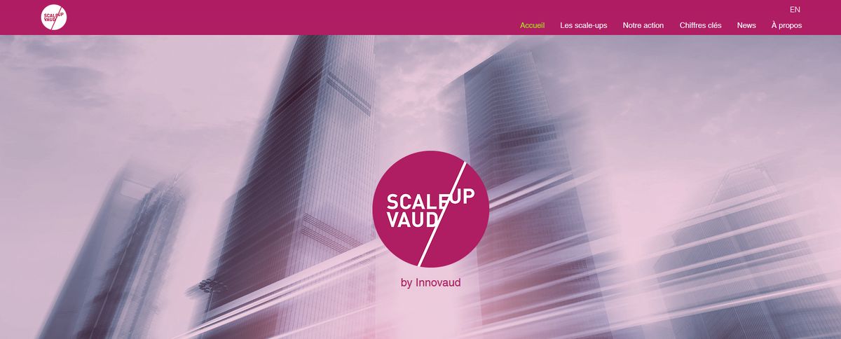Screenshot Scale up Vaud