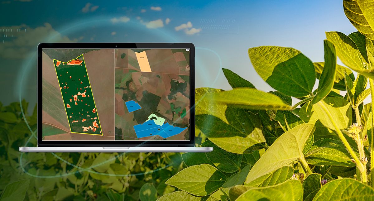 Gamaya: unveiling world’s first digital tool using satellite images to fight pests