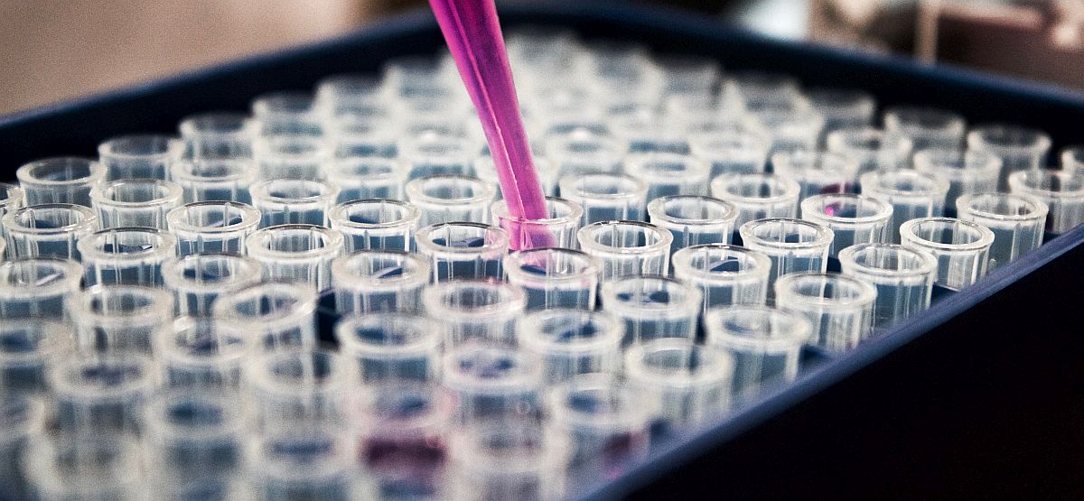 Triumphs and a setback in the biotech sector