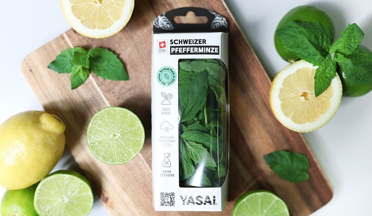 Yasai reaches €1.4 million in crowdfunding campaign