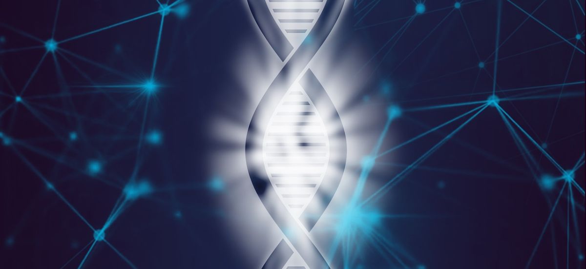 symbolic picture - DNA