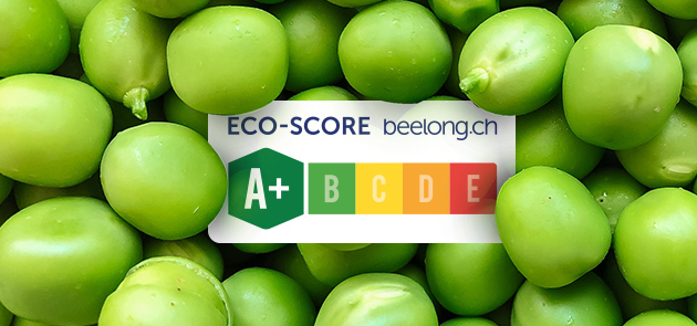 symbolic picture Eco Score