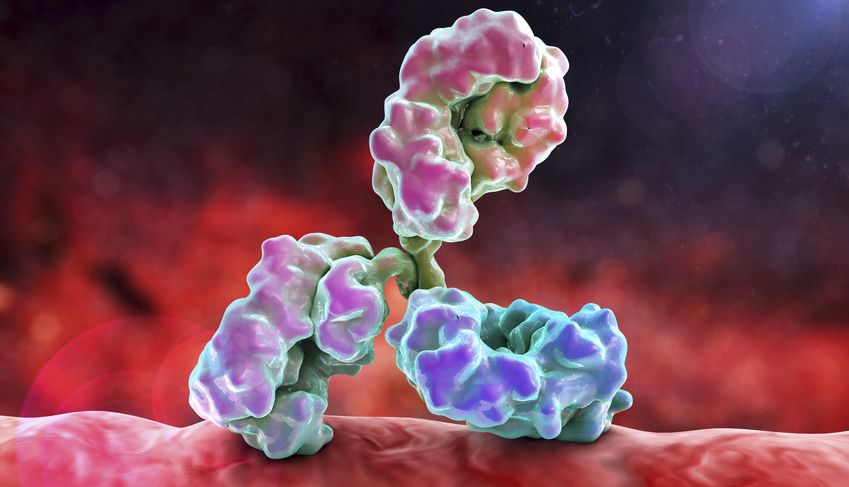 symbolic picture antibody