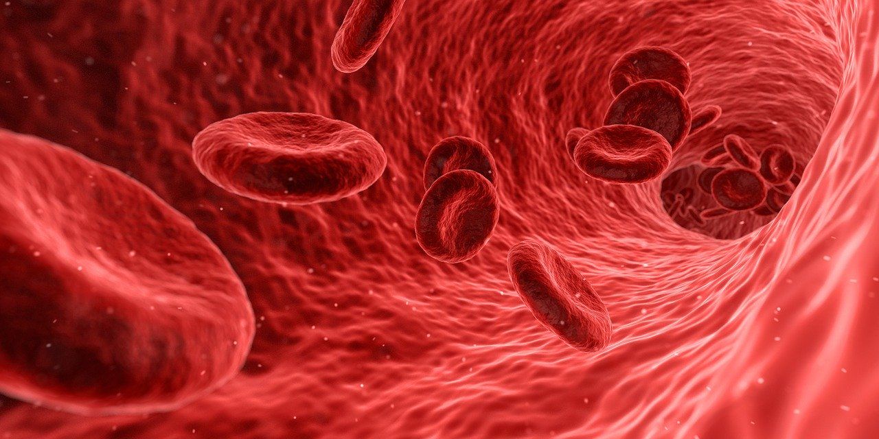 symbolic picture blood cells