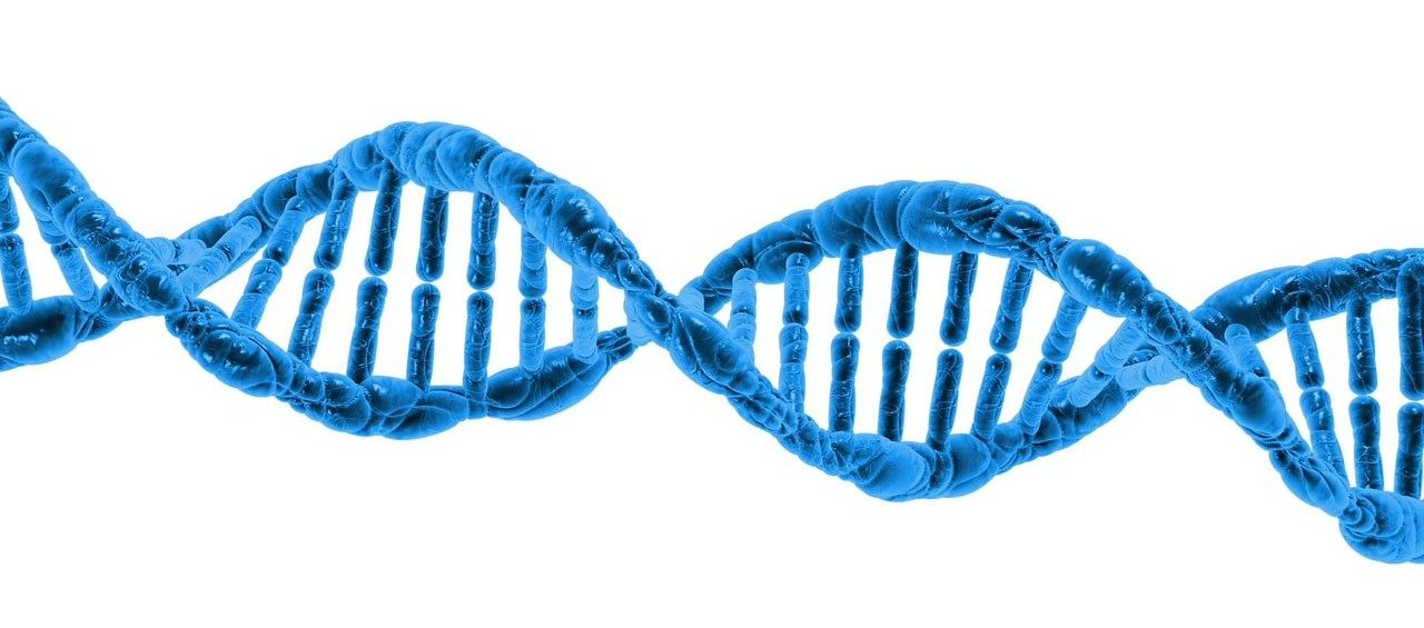 symbolic picture DNA
