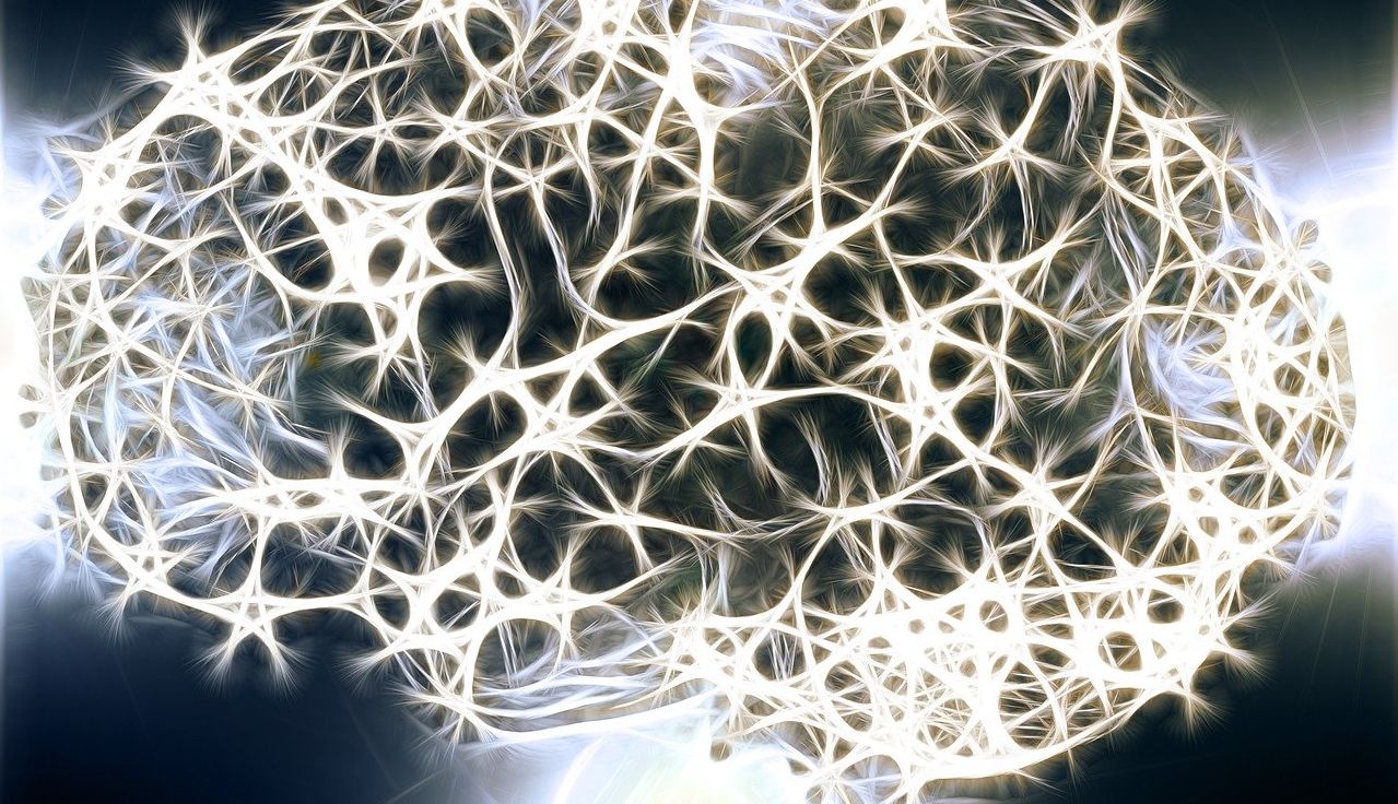 Neurons brain
