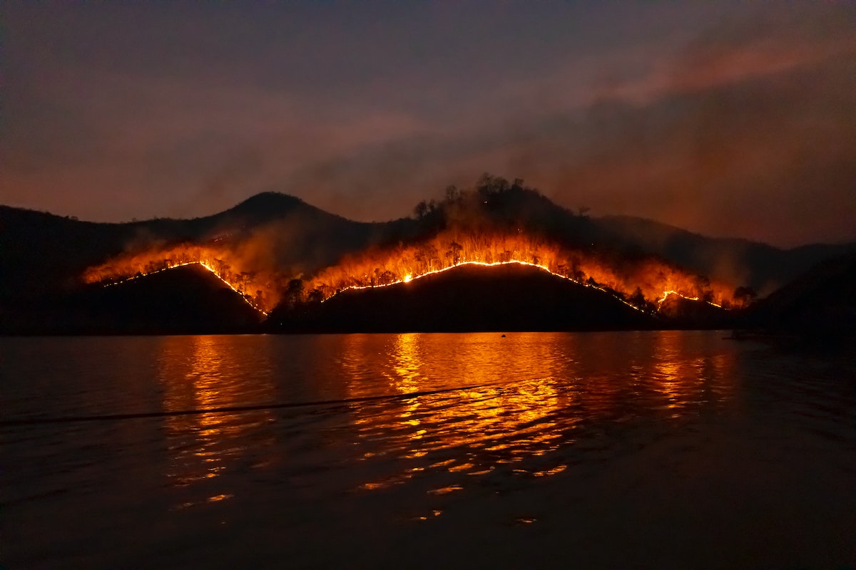 Unit8 joins forces with WWF to predict wildfires